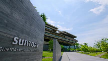 30年融于一粒的日本匠心,日本人每天都補充的芝麻素到底是什么?