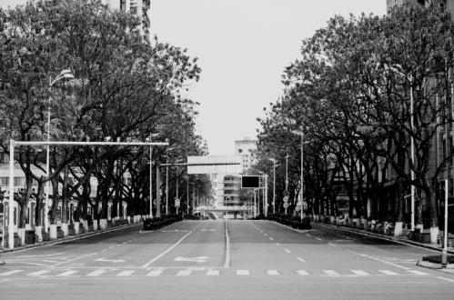 4月8日武漢重啟，小白熊母嬰抗疫援助進行時