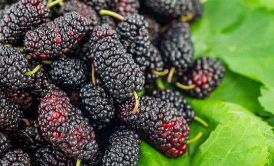 20種補血養氣的食物 讓你擁有好氣色。