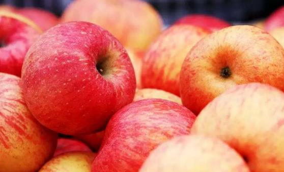 維生素A是一種強大的抗氧化劑 維生素a的六類水果