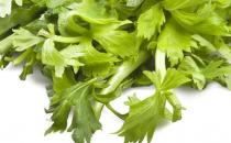 ?常吃芹菜養血補虛 低血壓脾胃虛弱的人不宜吃