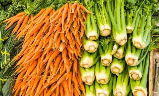 蔬菜也有很好的降血糖作用 推薦20種降血糖的蔬菜