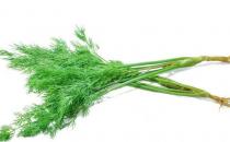 ?茴香菜的功效與作用 茴香菜的食用禁忌