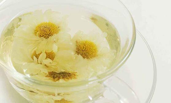 茉莉花能改善生活中的身體不適 關(guān)于茉莉花的藥用功效