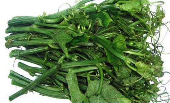 小偏方治療經常性頭痛 以緩解頭痛的不適