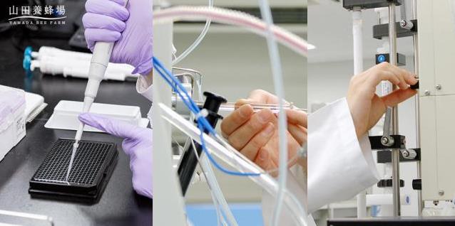 大自然贈予山田養蜂場的“軟黃金”