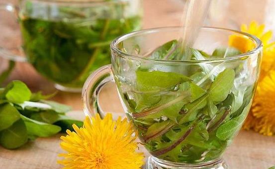 不起眼的蒲公英能夠治療很多疾病 蒲公英的16大妙用