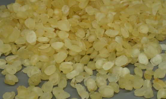 雪蓮子有不錯的保健養生作用 雪蓮子的食用方法