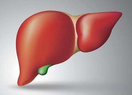 濟(jì)南中醫(yī)肝病醫(yī)院是正規(guī)醫(yī)院?jiǎn)幔繉?zhuān)家經(jīng)驗(yàn)豐富 攜手共抗肝病!