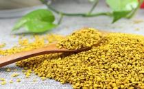 ?油菜花粉能有效預防疾病 油菜花粉的食用注意事項