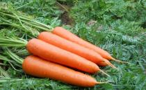 女性保養卵巢很重要 推薦女性保養卵巢的9種食物