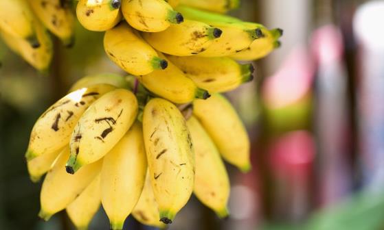 不同的水果不同的功效 生活中常見水果的妙用 