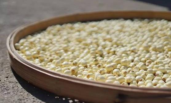 新鮮蓮是防癌抗癌好幫手 新鮮蓮子的吃法及技巧