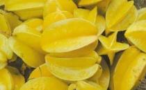 ?楊桃富含蛋白質和多種維生素 吃楊桃的8個禁忌