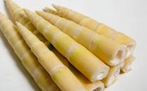 ?竹筍的7大功效和作用 食用竹筍應了解竹筍的禁忌