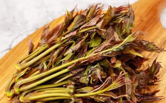 香椿芽的功效與作用 