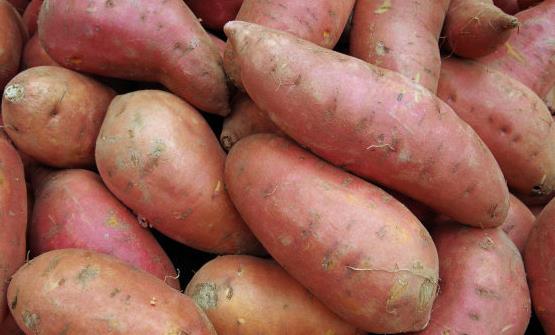 食用蔬菜來(lái)改善身體疾病 看看這些蔬菜的神奇之處吧