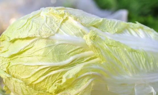 食用蔬菜來(lái)改善身體疾病 看看這些蔬菜的神奇之處吧