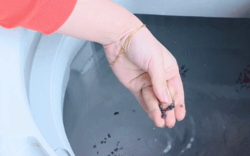 剛洗好的衣服總是會沾滿毛絮原因 簡易清潔洗衣機方法小竅門