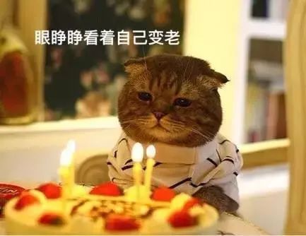 不同類型的肉冷凍保存時間不同，吃僵尸肉有危害嗎，如何辨別