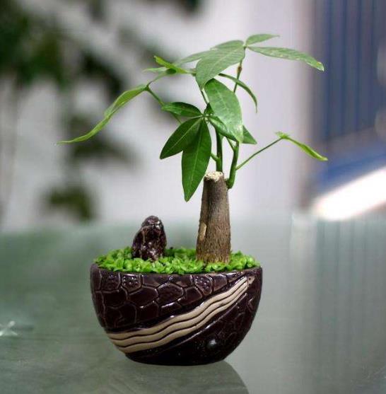 室內空氣凈化、除甲醛行業的市場前景概況及推廣盈利模式簡介