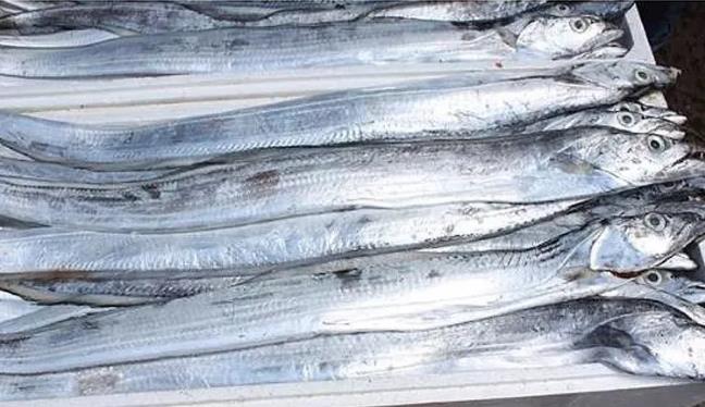 甲醛浸泡過的帶魚一碰熱油就扭曲、炸裂“開花”，千萬別買別吃