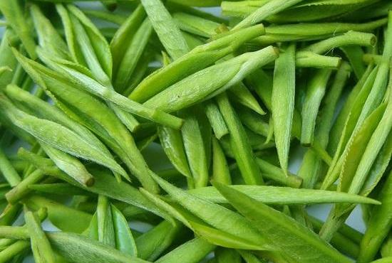 拆封后的綠茶葉怎么存放不會潮濕變質 保存綠茶的禁忌與注意事項