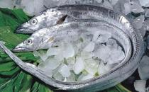 ?為何帶魚不能人工養(yǎng)殖 帶魚為什么一出水后就會死掉 帶魚是深海魚嗎