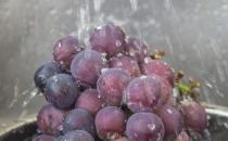 ?清洗葡萄的小技巧 洗出的葡萄干凈好吃