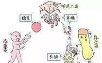 芙美安婦科凝膠丨婦科炎癥反復發作？自從用了它，告別私密困擾！