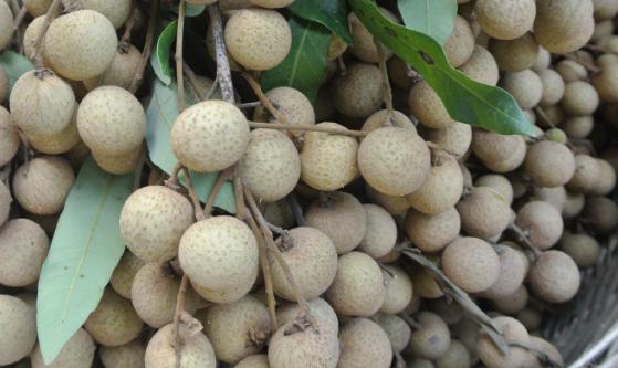 孕婦科學健康飲食最重要 孕婦不能吃的10種食物