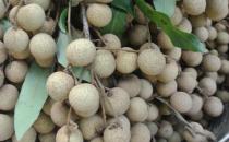 護理不當會落下月子病 產褥期的注意事項