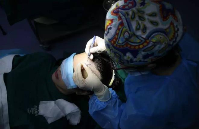 廣州青逸植為什么發如此受歡迎