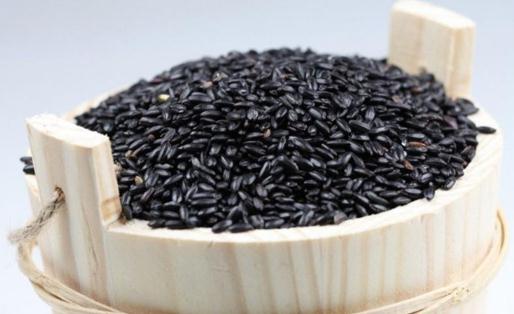 黑米一天吃多少為宜 黑米怎么吃才可以發揮它的功效