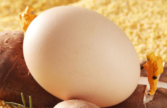 吃了雞蛋皮膚癢是怎么回事 對雞蛋過敏是對蛋白質過敏嗎