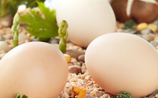 吃了雞蛋皮膚癢是怎么回事 對雞蛋過敏是對蛋白質過敏嗎