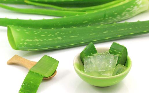 臉上天天抹蘆薈膠好不好 蘆薈膠一般用在護膚的哪個步驟